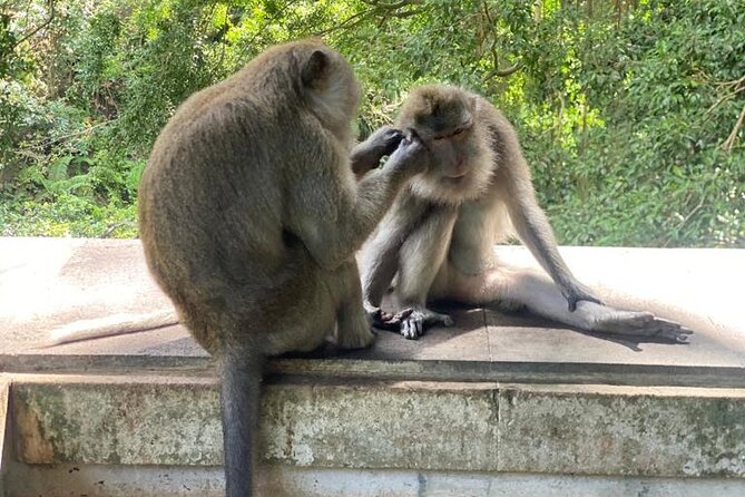 Best Of Ubud Private Day Tour With Local Guide - Traffic is the tour’s main practical issue