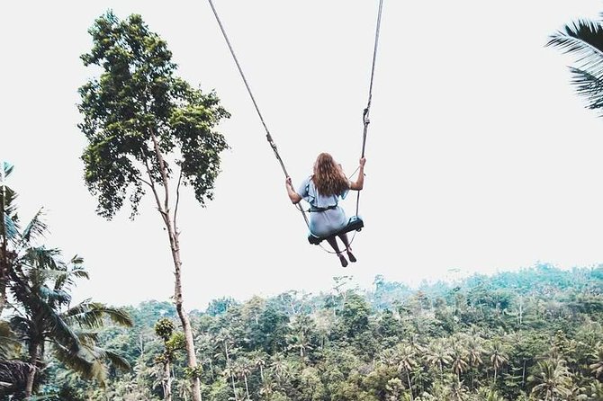 Best of Ubud Private Tour with Jungle Swing Experience - A big Ubud day with a swing in the middle