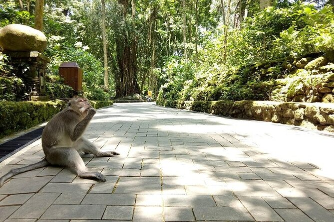 Best of Ubud Private Tour with Jungle Swing Experience - Ubud Palace, a short center-of-town visit