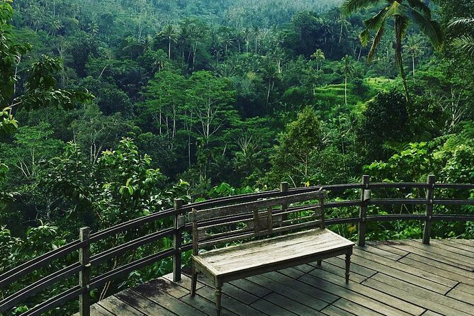 Best of Ubud: Rice Terrace, Temple and Waterfall Private Tour - Campuhan Ridge Walk is the calmest listed stop
