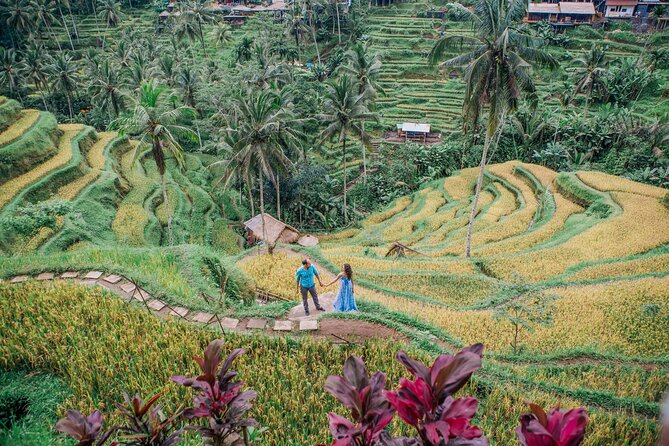 Best of Ubud’s Highlights Full-Day Tour - Why a private car matters around Ubud