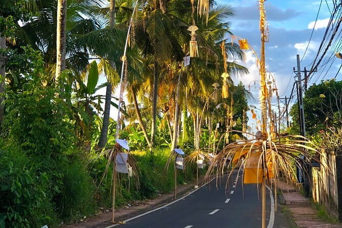 Best Of Ubud Scenic Full Day Private Guided Tour - Why this private Ubud route works well