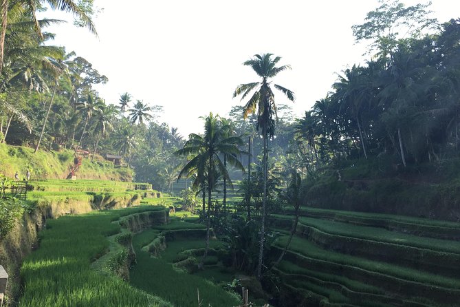 Best of Ubud Waterfalls, Tegalalang Rice Terrace and Swing Tour - Tukad Cepung and its unusual light