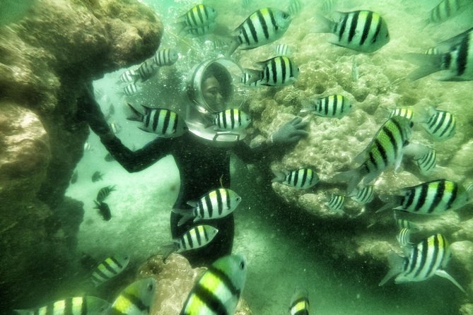 Best Package 3 in One Water Sport - Safety, equipment, and comfort