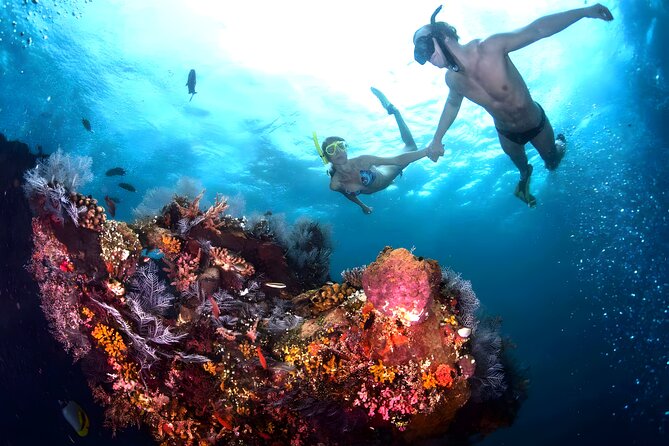Best Snorkeling Activity in Blue Lagoon Beach Bali - What you may see beneath the surface