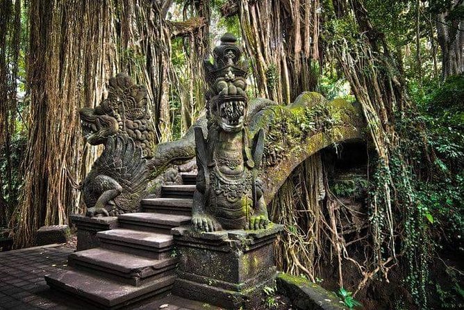 Best Ubud Tours -All inclusive with private driver - Tegallalang Rice Terrace: start with Ubud’s postcard view