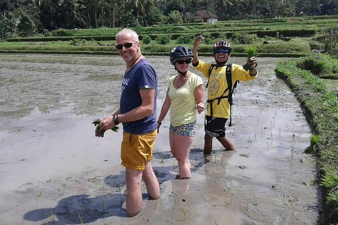 Bike ride in the rice fields, Bali countryside - Meeting farmers in the paddies