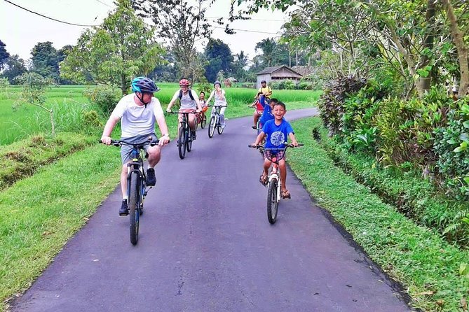 Bike ride in the rice fields, Bali countryside - How difficult is the cycling?