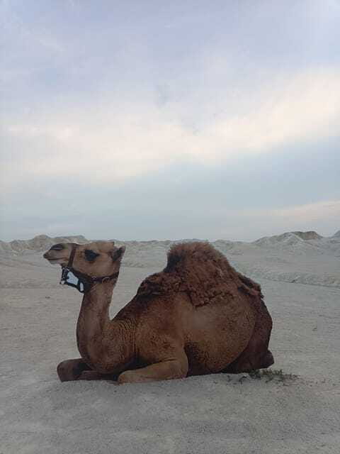 Bintan Desert And Blue Lake Private Tour - Weather, Clothing, and Comfort