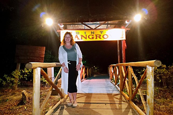 Bintan Fireflies Discovery Tour - What the two-hour outing includes