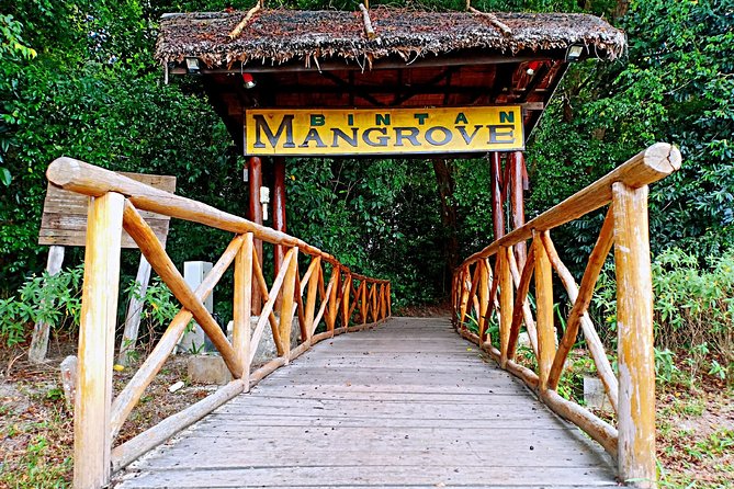 Bintan Mangrove Discovery Tour - Key points to know before booking