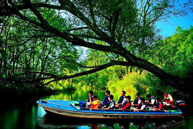 Bintan Mangrove Discovery Tour - The best time to go and what to bring