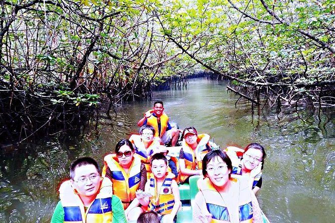 Bintan Mangrove Discovery Tour - What happens during the 90-minute boat ride