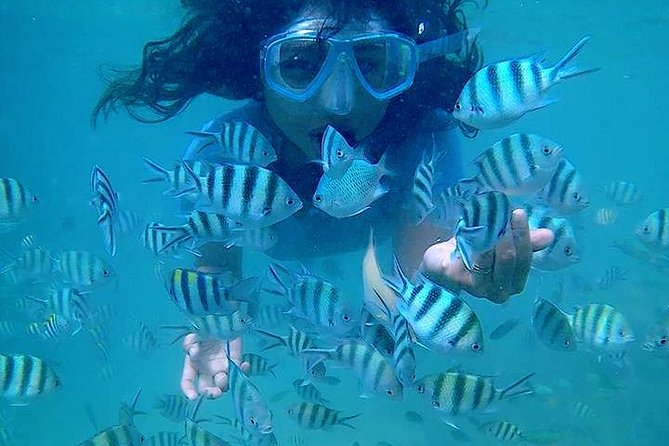 Bintan Snorkeling Tour - Kayaking, fishing, swimming, and platform jumps