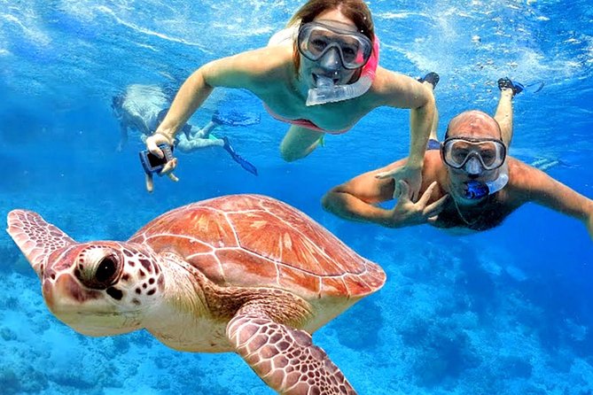 Blow Lagoon Bali Snorkeling and see Bali Bats Cave Temple - Blue Lagoon makes a practical first snorkeling trip