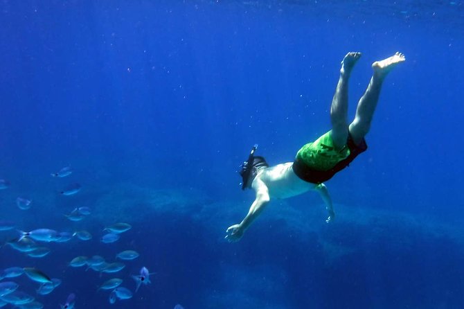 Blow Lagoon Bali Snorkeling and see Bali Bats Cave Temple - Is $25 good value for an eight-hour private tour?