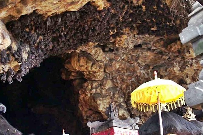 Blow Lagoon Bali Snorkeling and see Bali Bats Cave Temple - Timing, equipment, and booking details