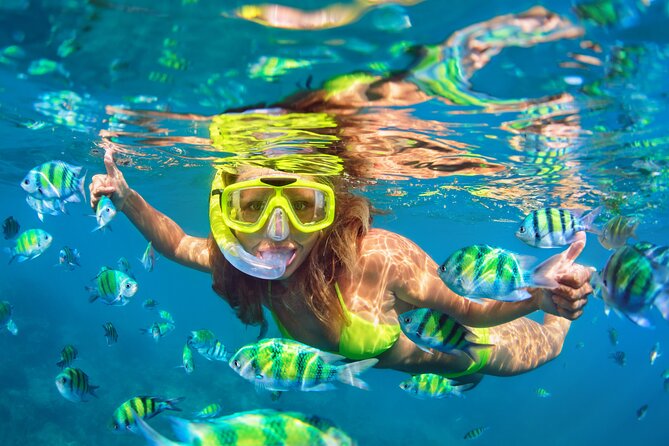 Blue Lagoon Bali Snorkeling Experience - From Ubud to Padangbai, a long but useful day