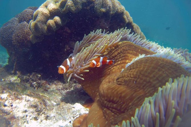 Blue Lagoon Bali Snorkeling Experience - Choosing the right land add-on