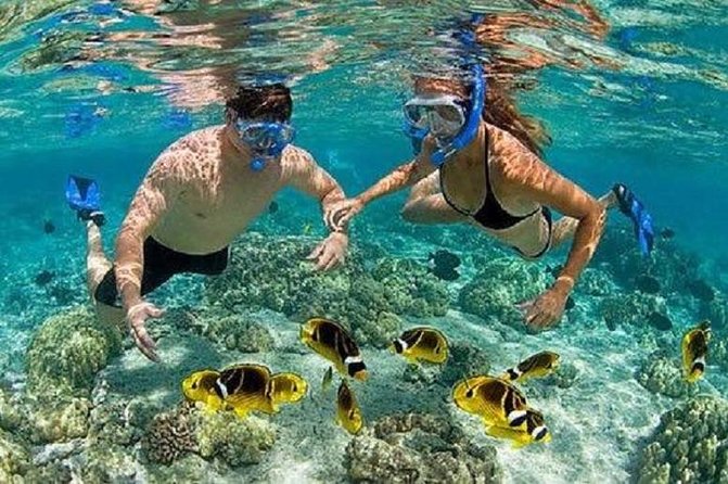 Blue Lagoon Snorkeling and Lunch - Kanto Lampo - Suwat Waterfall - All inclusive - Who will get the most from this tour