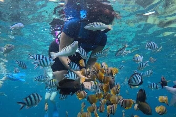 Blue Lagoon Snorkeling and Lunch - Kanto Lampo - Suwat Waterfall - All inclusive - What the all-inclusive price really covers