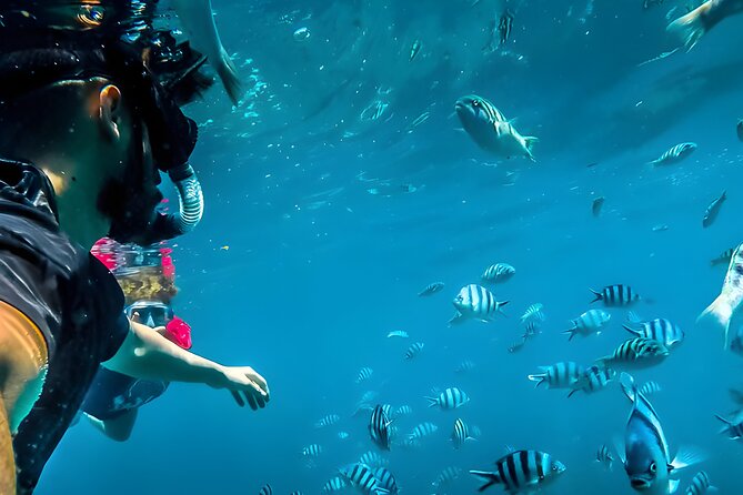 Blue Lagoon Snorkeling - Bali Best Snorkeling Site - Key points at a glance