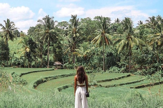 Blue Lagoon Snorkeling - Jungle Swing - Ubud - All Inclusive - The jungle swing is made for photos
