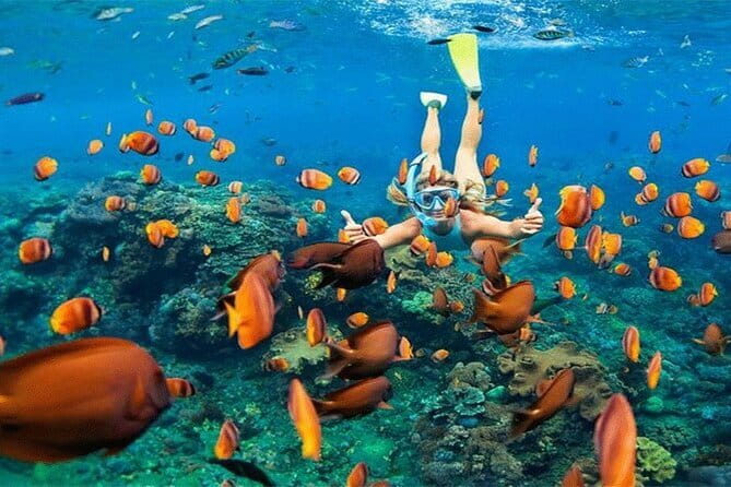 Blue Lagoon Snorkeling with Lunch and Private Transport - Who will enjoy this snorkeling trip most?