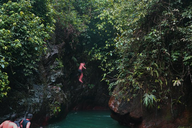 Bogor Botanical Garden & Rainforest Trekking to Hidden Waterfall - Bogor Botanical Garden and its 1817 beginning