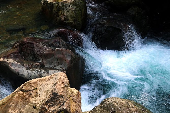 Bogor Botanical Garden & Rainforest Trekking to Hidden Waterfall - Rainforest trekking in Gede Pangrango National Park