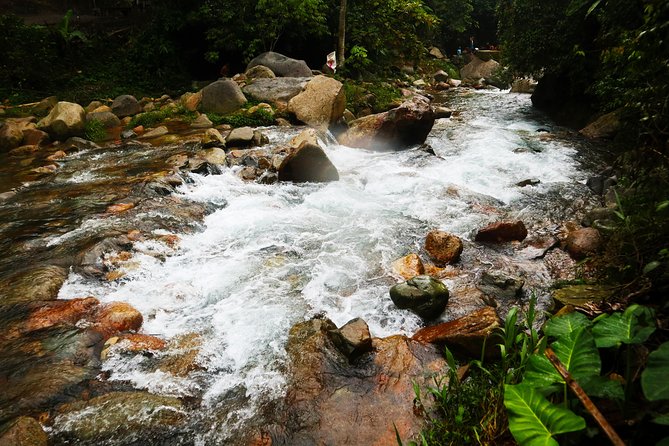 Bogor Botanical Garden & Rainforest Trekking to Hidden Waterfall - Lunch, drivers, and the practical comfort of a private vehicle