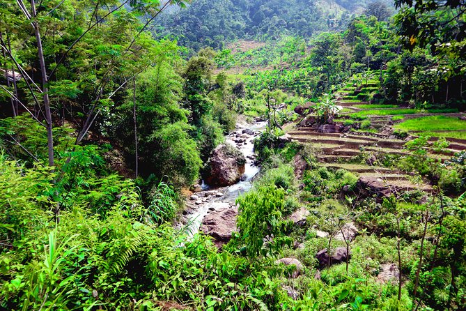 Bogor Botanical Garden & Rainforest Trekking to Hidden Waterfall - Guides who shape the day