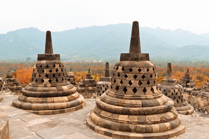 Borobudur Private Tour From Semarang Port - How the cancellation terms affect your decision