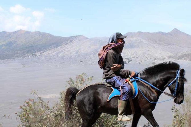 Bromo panorama tour to avoid the crowds - start Malang // 1 day tour - Key points at a glance