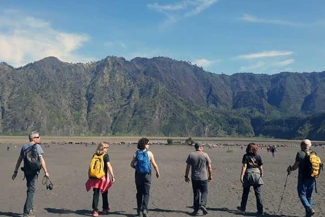 Bromo sunrise tour via Tumpang - start Malang // 1 day tour - Penanjakan sunrise, the reason to wake up