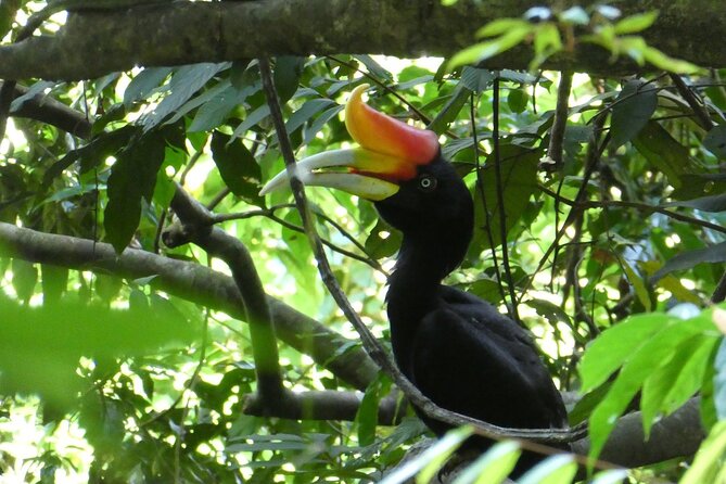 Bukit lawang 2 Day 1 Night with camping - Day one: five to six hours in the national park