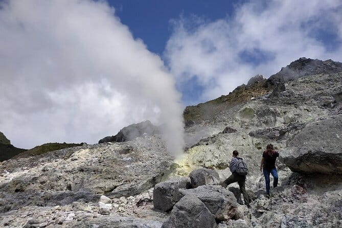 Bukit Lawang Berastagi 4 Days 3 Nights Volcano & Jungle Trekking - Day 2: six hours in Gunung Leuser National Park