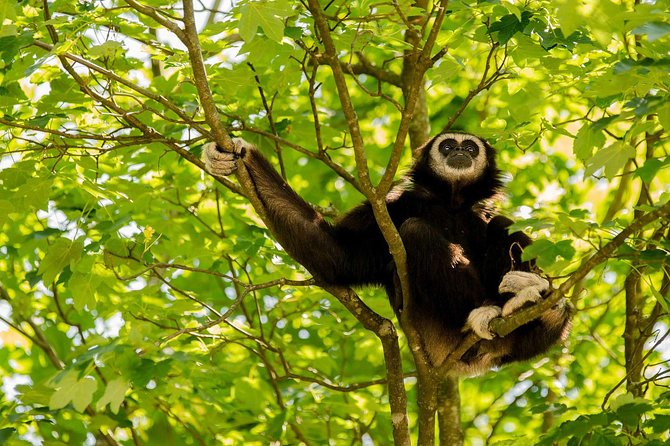 Bukit Lawang Full Day Jungle Trek - Lunch, fruit, and a useful pause