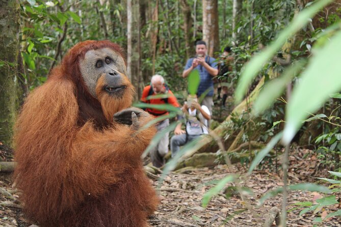 Bukit lawang tour 3days-2 night jungle trekking including rafting - Night one: basic camping beside the river