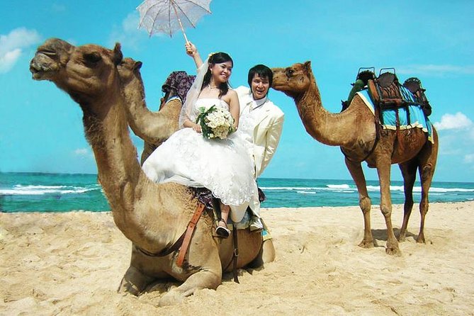 Camel Safari 30 minutes In White Sand Beach - Key points to know before you book