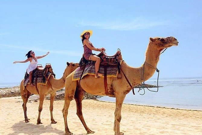 Camel Safari 30 minutes In White Sand Beach - Why this short camel ride works in Bali