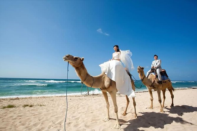 Camel Safari 30 minutes In White Sand Beach - Private transfers save time on a short outing