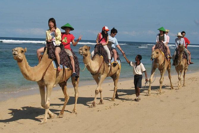 Camel Safari 30 minutes In White Sand Beach - Sawangan Beach gives the ride its character
