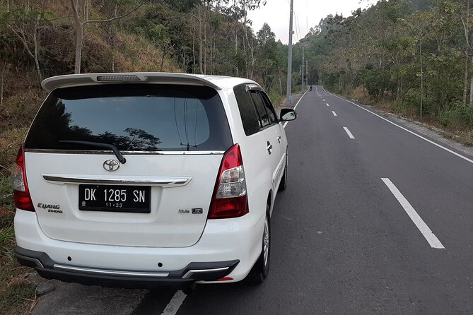 Candidasa Private Car with English Speaking Driver - Tegenungan Waterfall: a strong opening stop