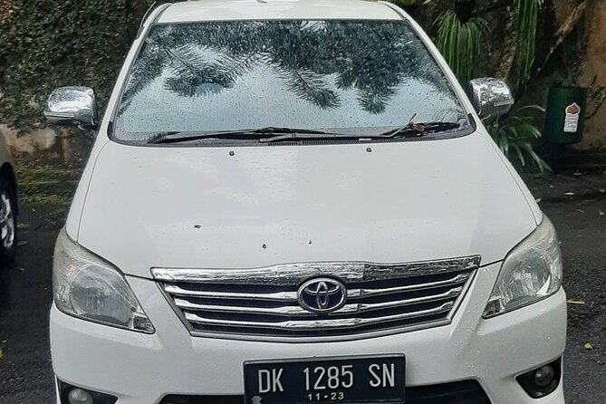 Candidasa Private Car with English Speaking Driver - Tirta Empul: a change of pace at a holy spring