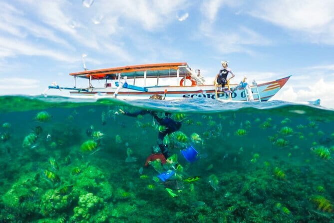 Car Hire in Lombok (Include Driver, Car, & Fuel) - What is not included and what to confirm