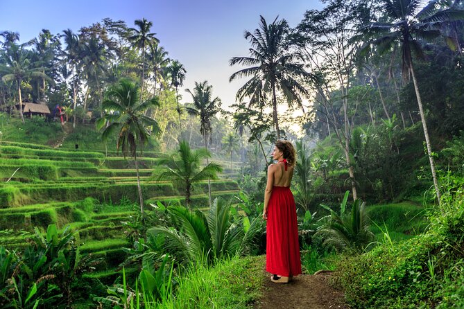 Cave Tubing Adventure & Rice terrace - The private transfer is a major part of the value