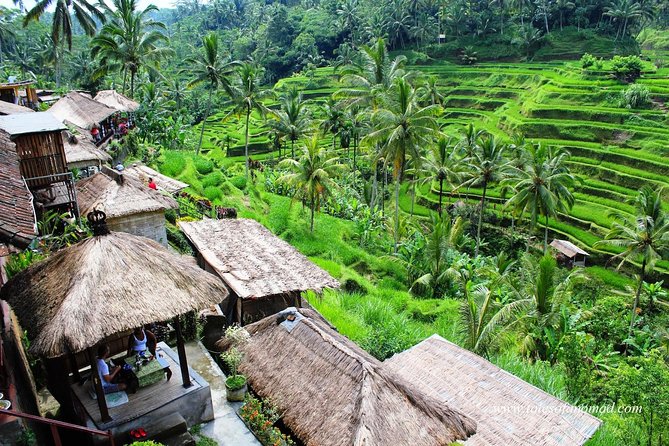 Charter Standard Vehicle with Driver at Bali- 5 Hours Usage - Why a private Bali car makes sense