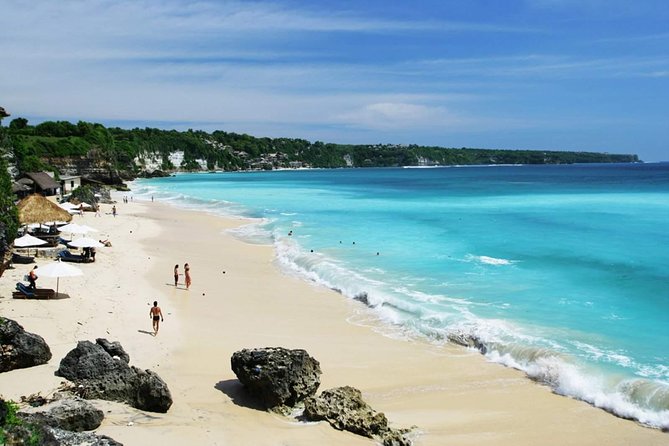 Charter Standard Vehicle with Driver at Bali- 5 Hours Usage - Who gets the best value