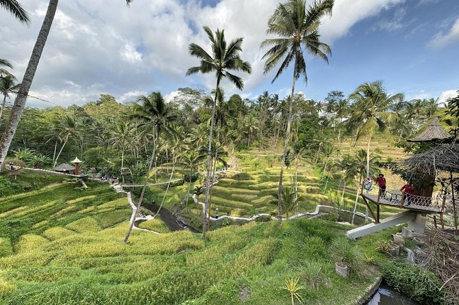 coconut wine and coffee safary tour - Practical Tips for a Smoother Visit